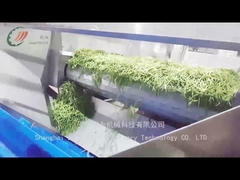 Konserve fasulye üretim hattı konserve fasulyeyi nasıl üretir?