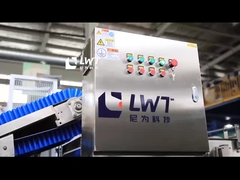 Meyve Sebze Balonlu Çamaşır Makinesi