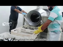 Konserve balık üretim hattı Sarı kanatlı konserve işleme ekipmanları