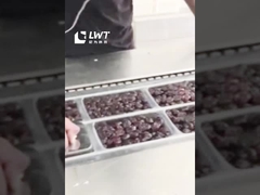 Tarih Paketleme Üretim hattı Otomatik Tarih Germe Film Vakum Paketleme Makinesi