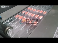 Endüstriyel Paketleme hattı Makineleri Özellik Düyü Kuru Meyve Vakum Deri Paketleme Makinesi