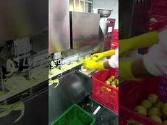 Leadworld Konserve meyve üretim hattı Konserve armut işleme hattı