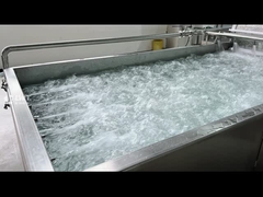 Sebze yıkama makinesi