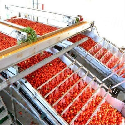 Leadworld Industrial'den konserve domatesler için çok fonksiyonel konserve üretim hattı
